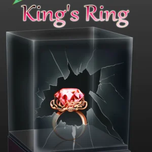 Kings Ring by Cigdem Knebel